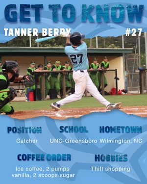 Image post by @ilmsharks on Instagram