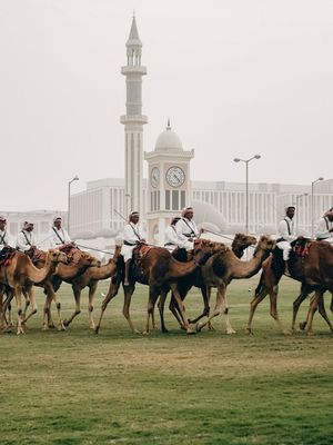 Image post by @mo_hotels on Instagram