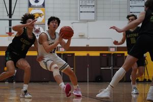 Image post by @laubhan.visuals on Instagram