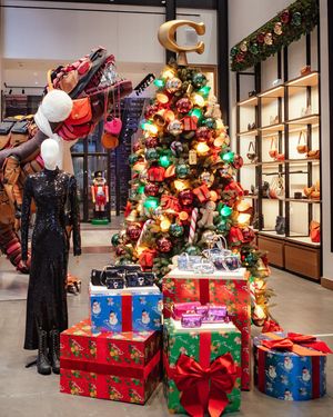 Image post by @coach on Instagram