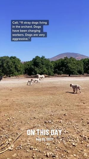 Video post by @pinkpumamobileautodetail on TikTok