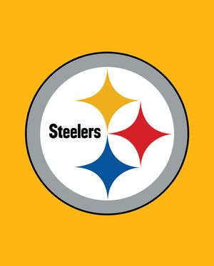 Image post by @steelers on Instagram