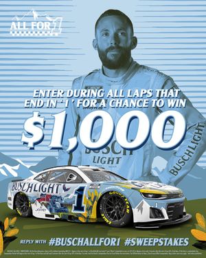Image post by @BuschBeer on Twitter