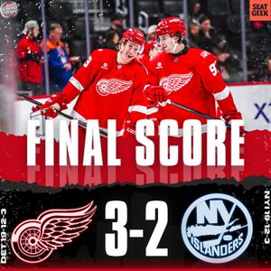 Image post by @redwingscoverage on Instagram