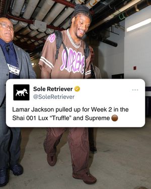 Image post by @soleretriever on Instagram