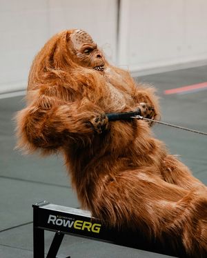 Image post by @crossfit on Instagram