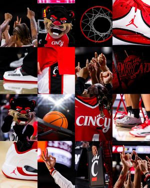 Image post by @gobearcatswbb on Instagram