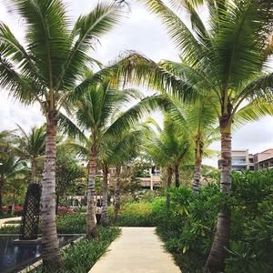 Image post by @kirstenalana on Instagram