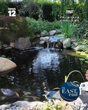 Video post by @news12li on Instagram