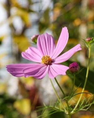 Image post by @grohoskephotography on Instagram