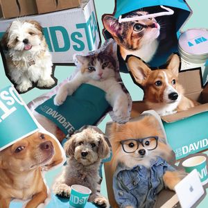 Image post by @davidstea on Instagram