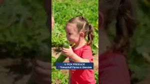 Video post by @abc15 on YouTube
