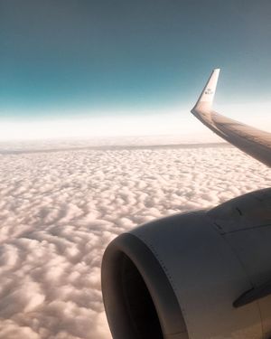 Image post by @aureliehemar on Instagram