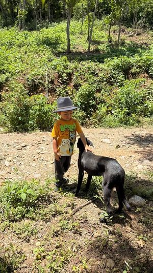 Image post by @divis_oaxaquena on Instagram