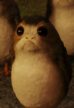 Video post by @starwars on TikTok