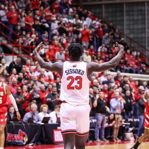 Image post by @isuredbirds on Instagram