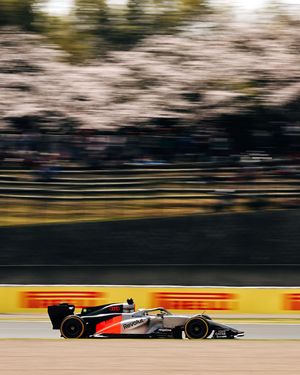 Image post by @audif1 on Instagram