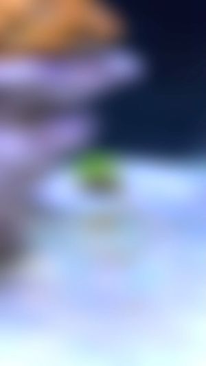 Video post by @aqualupi on Instagram