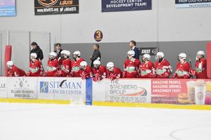 Image post by @washuhockey on Instagram