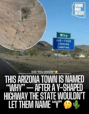 Image post by @downinnadesert on Instagram