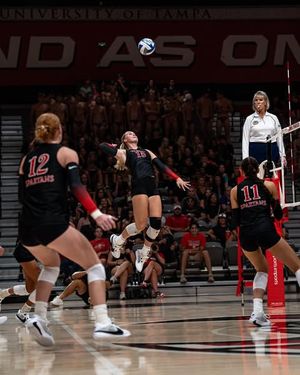 Image post by @utampavb on Instagram