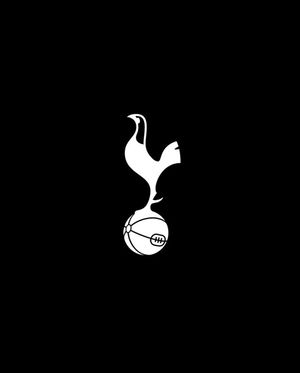 Image post by @TottenhamHotspur on Facebook