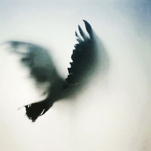 Image post by @azrabetul on Instagram