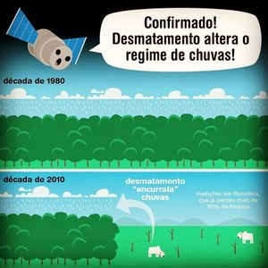 Image post by @operitoambiental on Instagram