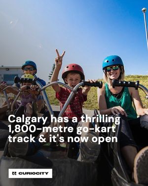 Image post by @curiocitycalgary on Instagram
