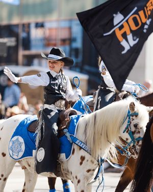 Image post by @rodeohouston on Instagram