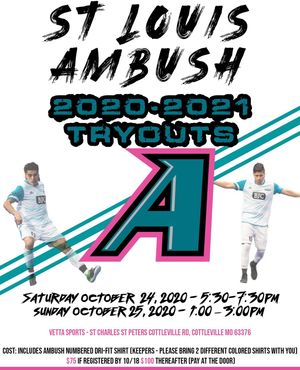 Image post by @stlouisambush on Instagram