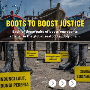 Image post by @greenpeace on Instagram