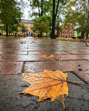 Image post by @ohio.university on Instagram