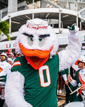 Image post by @um_sebastian on Instagram
