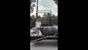 Video post by @imaxmovies on YouTube