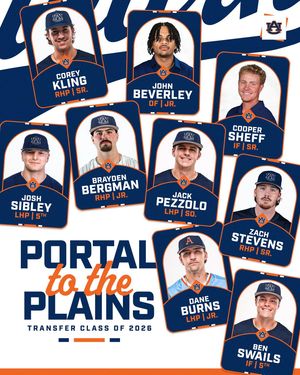 Image post by @auburnbaseball on Instagram