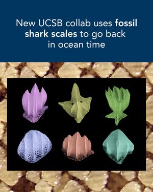 Image post by @ucsantabarbara on Instagram