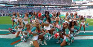 Video post by @dolphinscheer on TikTok