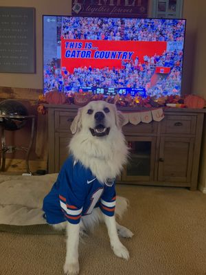 Image post by @barstoolflorida on Instagram