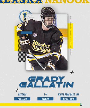 Image post by @nanookshockey on Instagram