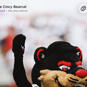 Image post by @uofcincy on Instagram