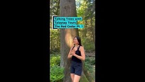 Video post by @westjet on YouTube