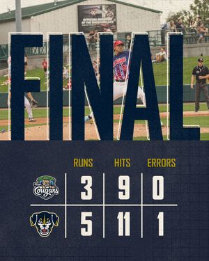 Image post by @saltdogsball on Instagram