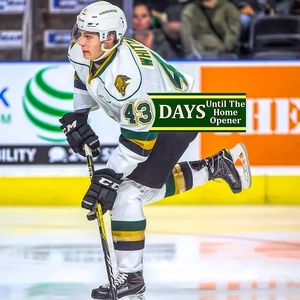 Image post by @londonknights on Instagram