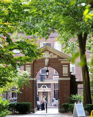 Image post by @harvard on Instagram