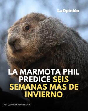 Image post by @laopinionla on Instagram