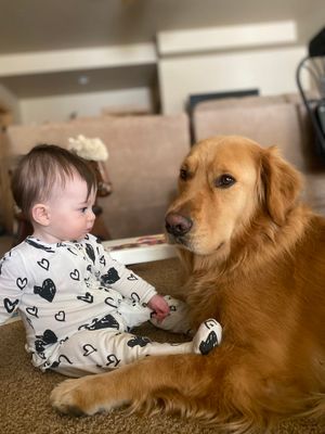 Image post by @jarzod on Twitter