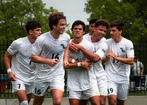 Image post by @amcd.visuals on Instagram