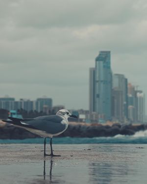 Image post by @soaringpixels on Instagram