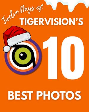 Image post by @cutigervision on Instagram